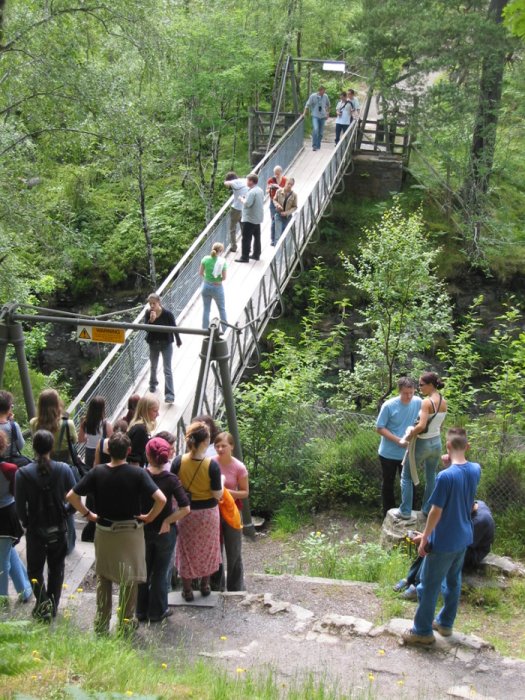 Falls of Measach - Die Brücke