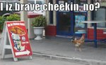 brave chicken at kfc